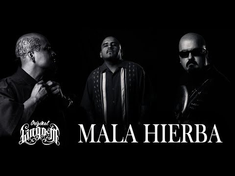 Lingo M - MALA HIERBA - Audio original