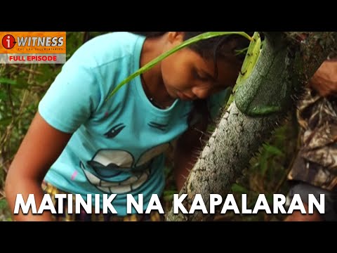 ‘Rattan sa Pusod ng Sierra Madre,’ Dokumentaryo ni Kara David (Full Episode) | I-Witness