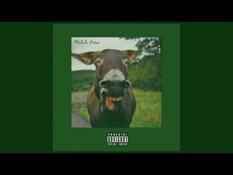 Corleone Franccini - MULA flow