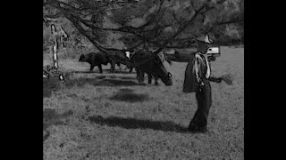 Almost Persuaded Sung By Larry Leon Williams