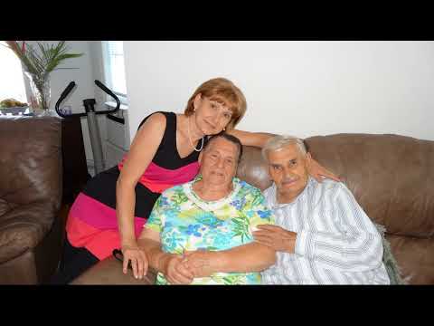 Семья Титарь