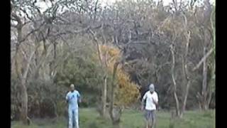 Chairlift -  Bruises -  i tried to do handstands for you