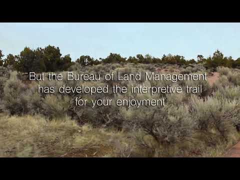 Lava Trail System (Hell's Half Acre)