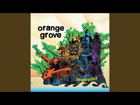 You Decide It - Orange Grove