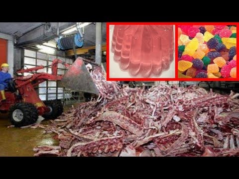 image-What is organic gelatin made of?