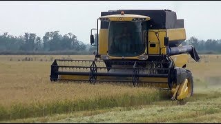 preview picture of video 'New Holland CS6080 mietitura riso / rice harvest 22/09/2012'