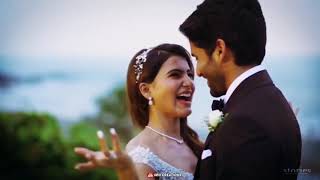 Download lagu 💞Uyire unnai unnai enthan 💞Samantha & Nagachaitanya Version💞Whatsapp Status💞Sriii Creations mp3 Download lagu 💞Uyire unnai unnai enthan 💞Samantha & Nagachaitanya Version💞Whatsapp Status💞Sriii Creations mp3