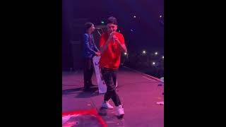 El Amor Lyrics English Translation