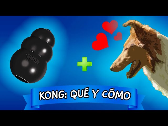 Vídeo relacionado con KONG Classic Juguete para Perros Rellenable - para Jugar y Masticar - Se Puede Rellenar con Snacks y Premios - Hecho de Caucho Natural Duradero - para Perros Pequeños