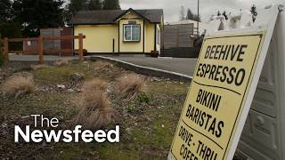 Brothers that own bikini barista chains sued over wage theft and sexual harassment | The Newsfeed