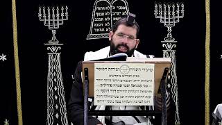 זבחים דף ב' ע''א ¤ הרב נתנאל אברז'ל ¤ בית הכנסת "בית מרדכי" (מוסדות תורת דוד) - התמונה מוצגת ישירות מתוך אתר האינטרנט יוטיוב. זכויות היוצרים בתמונה שייכות ליוצרה. קישור קרדיט למקור התוכן נמצא בתוך דף הסרטון זבחים דף ב' ע''א ¤ הרב נתנאל אברז'ל ¤ בית הכנסת "בית מרדכי" (מוסדות תורת דוד) - התמונה מוצגת ישירות מתוך אתר האינטרנט יוטיוב. זכויות היוצרים בתמונה שייכות ליוצרה. קישור קרדיט למקור התוכן נמצא בתוך דף הסרטון