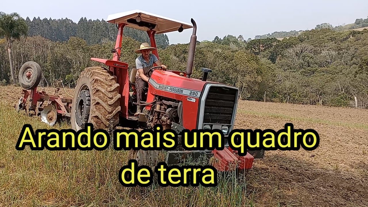 Arando com o Massey Ferguson 290 mais um pedaço de terra