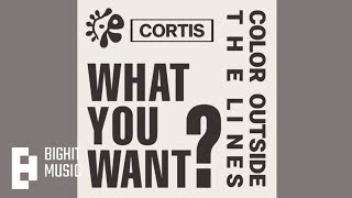Download lagu CORTIS (코르티스) - 'What You Want'  Audio mp3