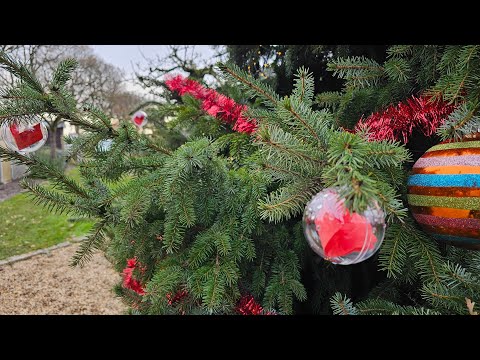 An 't Hoag en Radio 0485 bundelen krachten in strijd tegen kanker