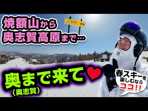 Video: 【スキー場紹介】奥まで来て♡焼額山から奥志賀高原まで満喫！春スキー楽しむならココ！