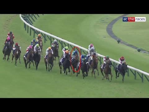 INCREDIBLE horse! ROMANTIC WARRIOR wins G1 Yasuda Kinen (安田記念) for James McDonald!