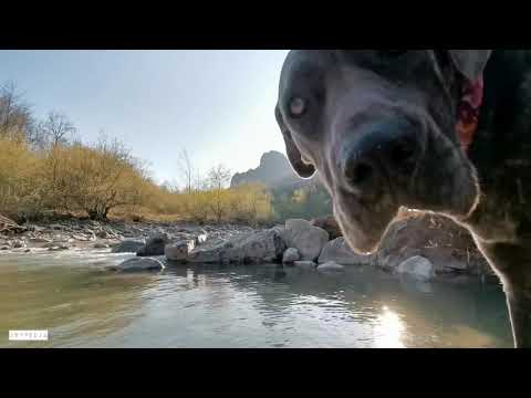 Relax sul fiume al tramonto.