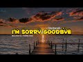 I'm Sorry Goodbye - Krisdayanti (Lirik Lagu + cover)