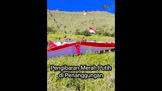 Download lagu story wa pendaki Pengibaran sang merah Putih di Puncak Gunung Penanggungan mp3