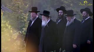כ"ק מרן האדמור מגור שליט"א מטייל עם בניו ביער בירייה בצפת. (אב תשפ"ב)