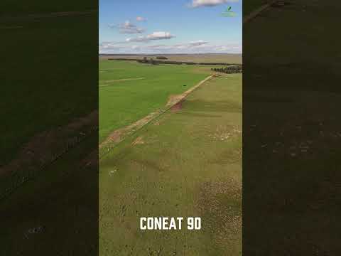 620 HECTARES FOR SALE | Durazno, Uruguay . Sarandí del Yí