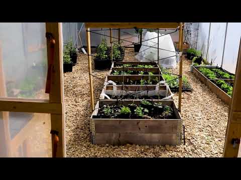 Dubbel skjutdörr Växa 5