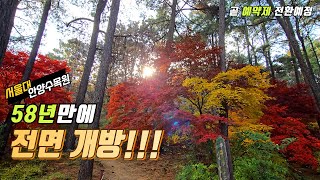 🍁Opened for the first time in 58 years!🍁 Seoul National University Anyang Arboretum Autumn Foliage Trekking Course | Public Transport Day Trip