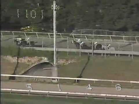 Verset's Jet -Clásico Día del Veterano Nov.11,1995