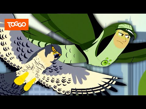 Go Wild! - Mission Wildnis | Die Großstadtfalken | Ganze Folge | TOGGO Serien