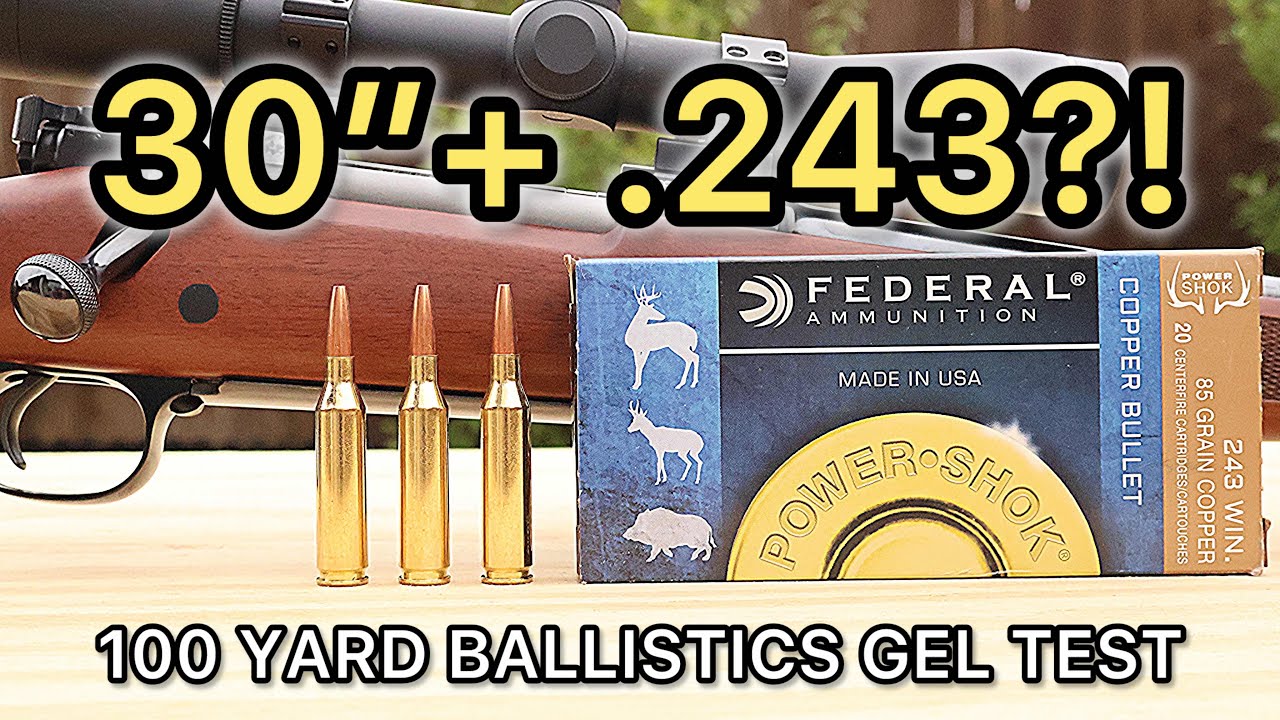 243 Winchester Federal Copper 85gr Ballistics Gel Ammo Test