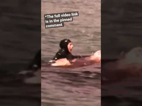 The Most HORRIFYING Shark Encounters of ALL-TIME