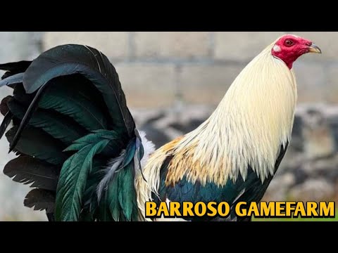 Grey Sweater Mclean hatch - BARROSO FARM