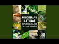 Río Que Fluye y la Música Piano
