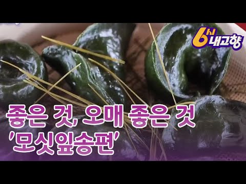 21.9.1. KBS 6시 내고향(좋은 것, 오매 좋은 것 '모싯잎송편')