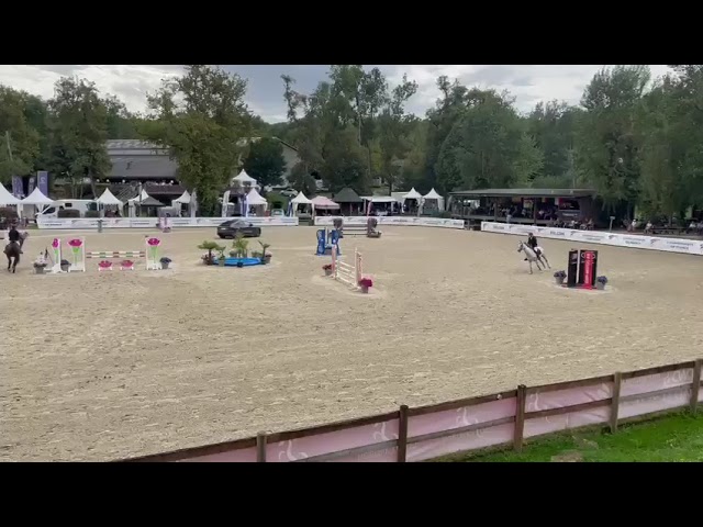 Harvest / Jument sf de 9 ans / top respect 