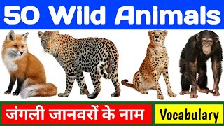 Wild Animals Hindi Eng Watch HD Mp4 Videos Download Free Wild Animals Hindi Eng Watch HD Mp4 Videos Download Free
