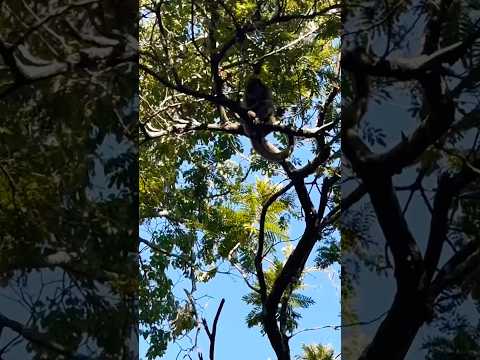 Passando pela cidade de São Borja Rio Grande do Sul