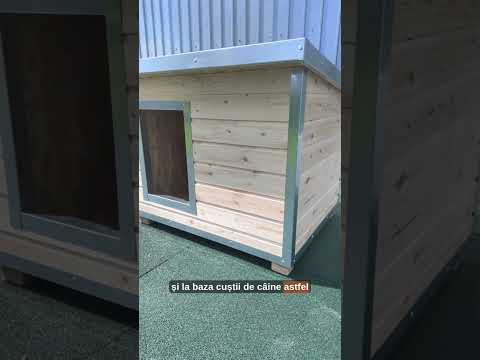 Prezentare Cusca Caine Izolata Cu Profile Metalice Antiros DLNI2PMZ MxS