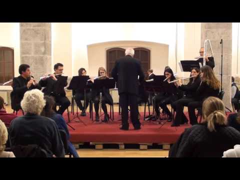 TRIESTE FLUTE ENSEMBLE - W. A. Mozart: "The Magic Flute" Overture