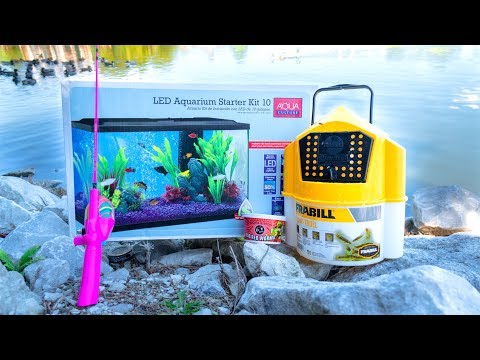 MICRO Fishing for New PET FISH!!!