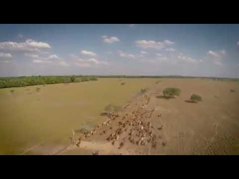 Video La Quincena de Neyer Oropeza