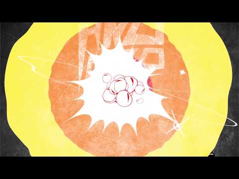Fiesta - Año Cero