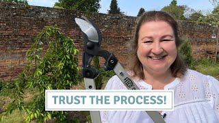 How To Prune A Weeping Cherry Tree + Adding Interest Under The Canopy // Cottoverdi