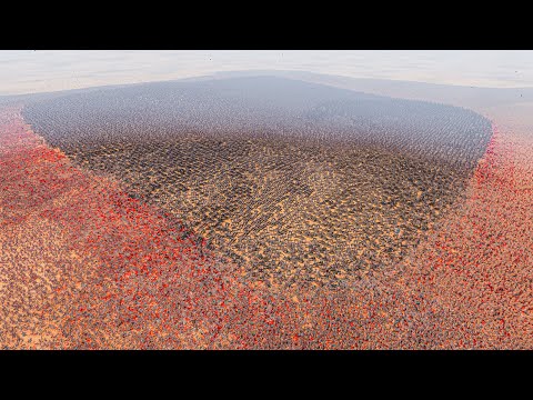 CATAPULTS SURROUNDED BY 1 MILLION ROMAN GENERALS - Ultimate Epic Battle Simulator 2 UEBS 2