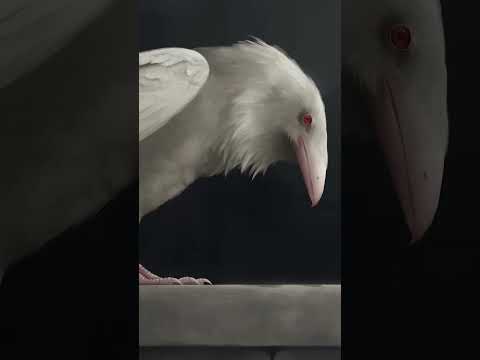 The sad life of a white crow without a family 🤔🐦 #shorts