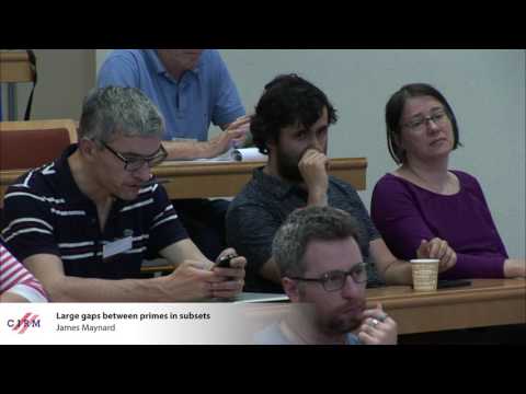 James Maynard: Large gaps between primes in subsets