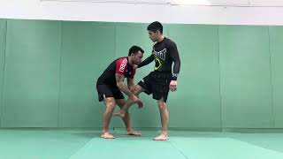 Single Leg a rodilla contraria