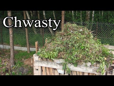 Ogrodowe pierdamony 18 - chwasty