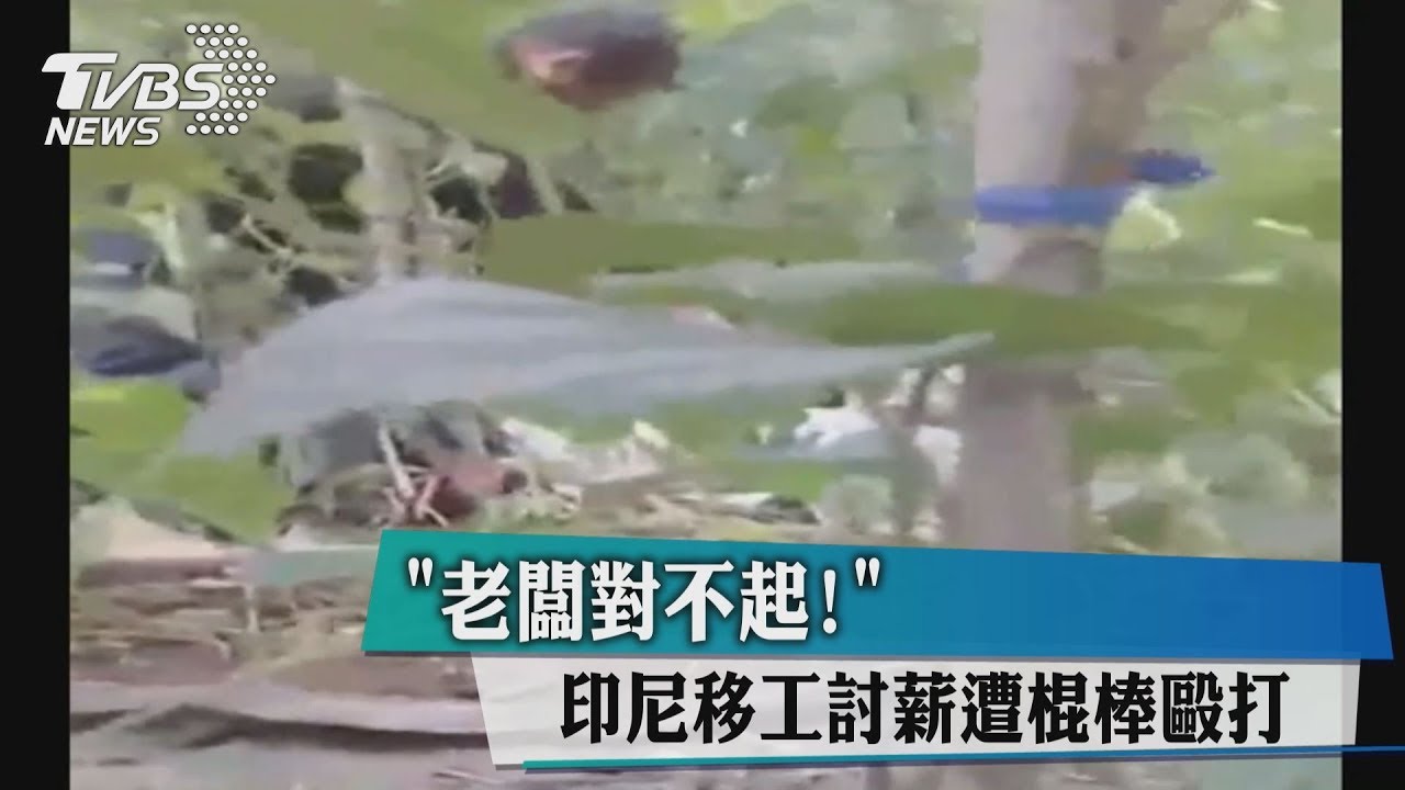 「老闆對不起!」 印尼移工討薪遭棍棒毆打