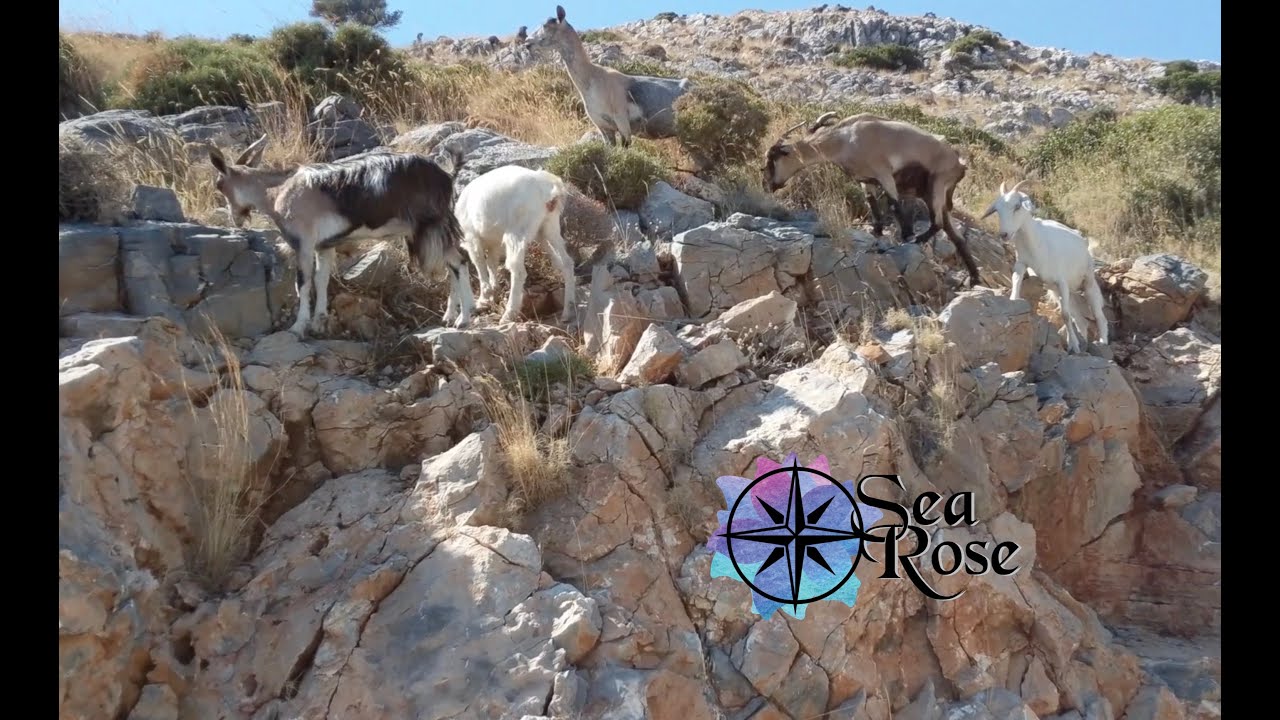 Greek Island Extremes | Ep. 75